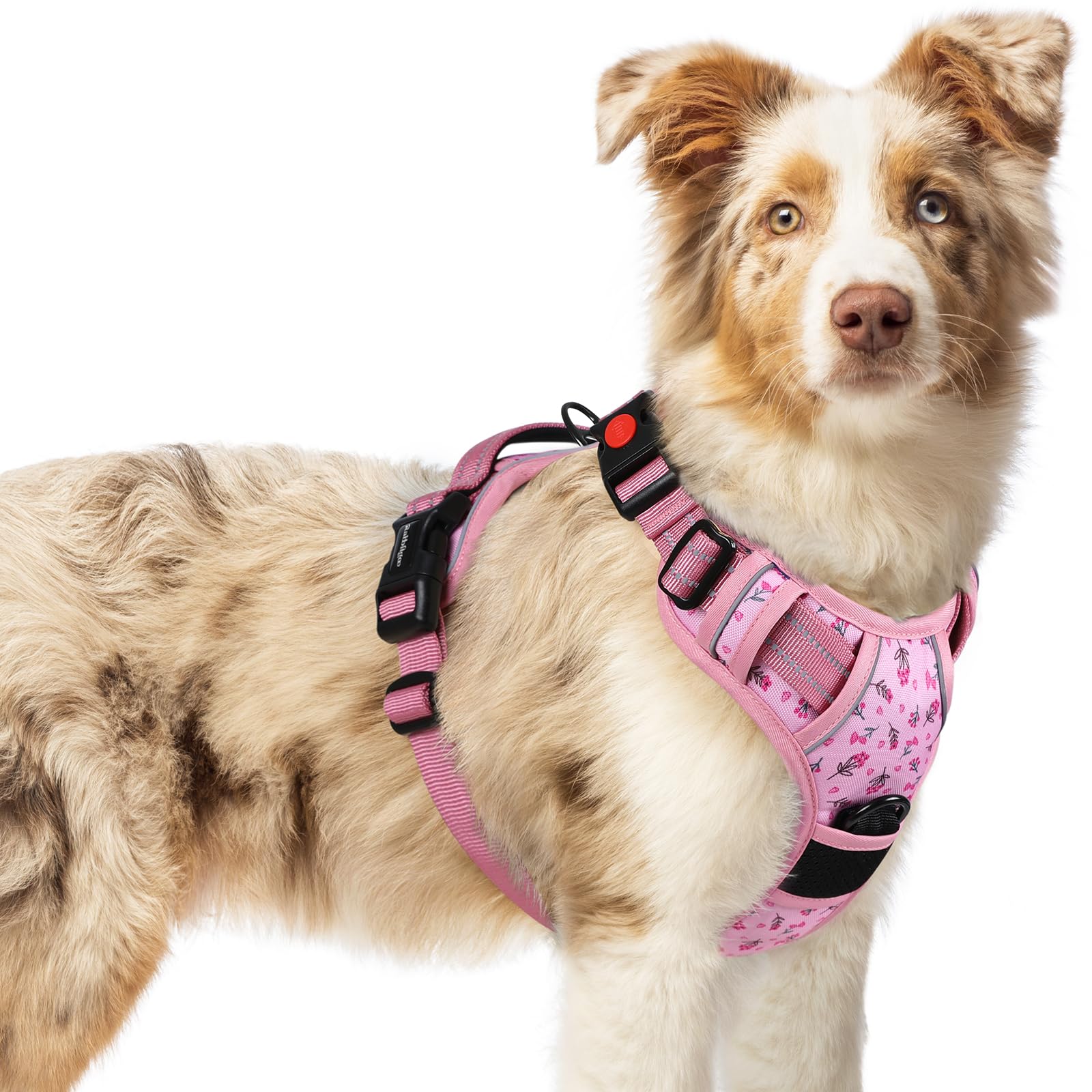Dog Harness Large Dog No Pull Pet Harness with 2 Leash Clips, Adjustable Soft Padded Pet Vest Harness, Reflective No-Choke with Easy Control Handle for Training or Walking, Floral Pink, M
