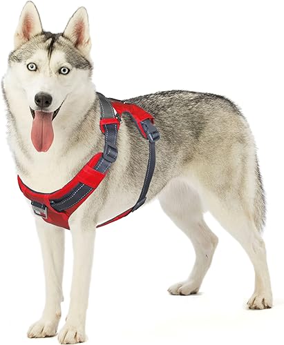 Outward Hound Boulder Adventure Arnés ajustable para perro con bolsillos, rojo, grande