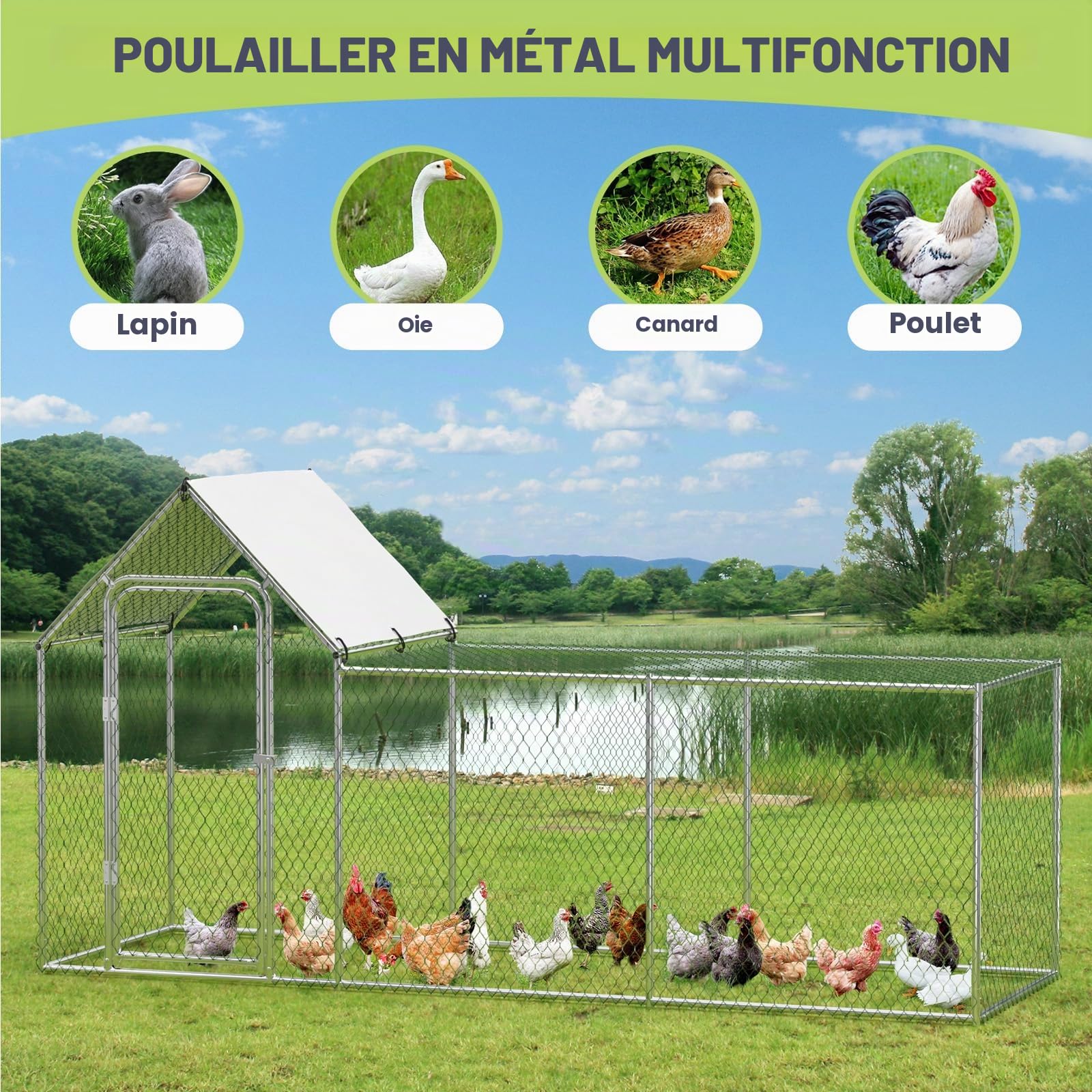 IDEALHOUSE Enclos poulailler sécurisé en métal – Porte verrouillable, Toit imperméable Anti-UV, Structure Robuste – Idéal pour Poules, Canards, Lapins – pour Jardin et Ferme – Base Stable – Taille :