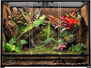 OiiBO 135 Gallon Reptile Terrarium, 48" x 18" x 36" Full Tempered Glass Vertical Reptile Tank,Front Sliding Door with Top Screen Ventilation Reptile Amphibian Tall & Extra-Long Habitat Enclosure Cage