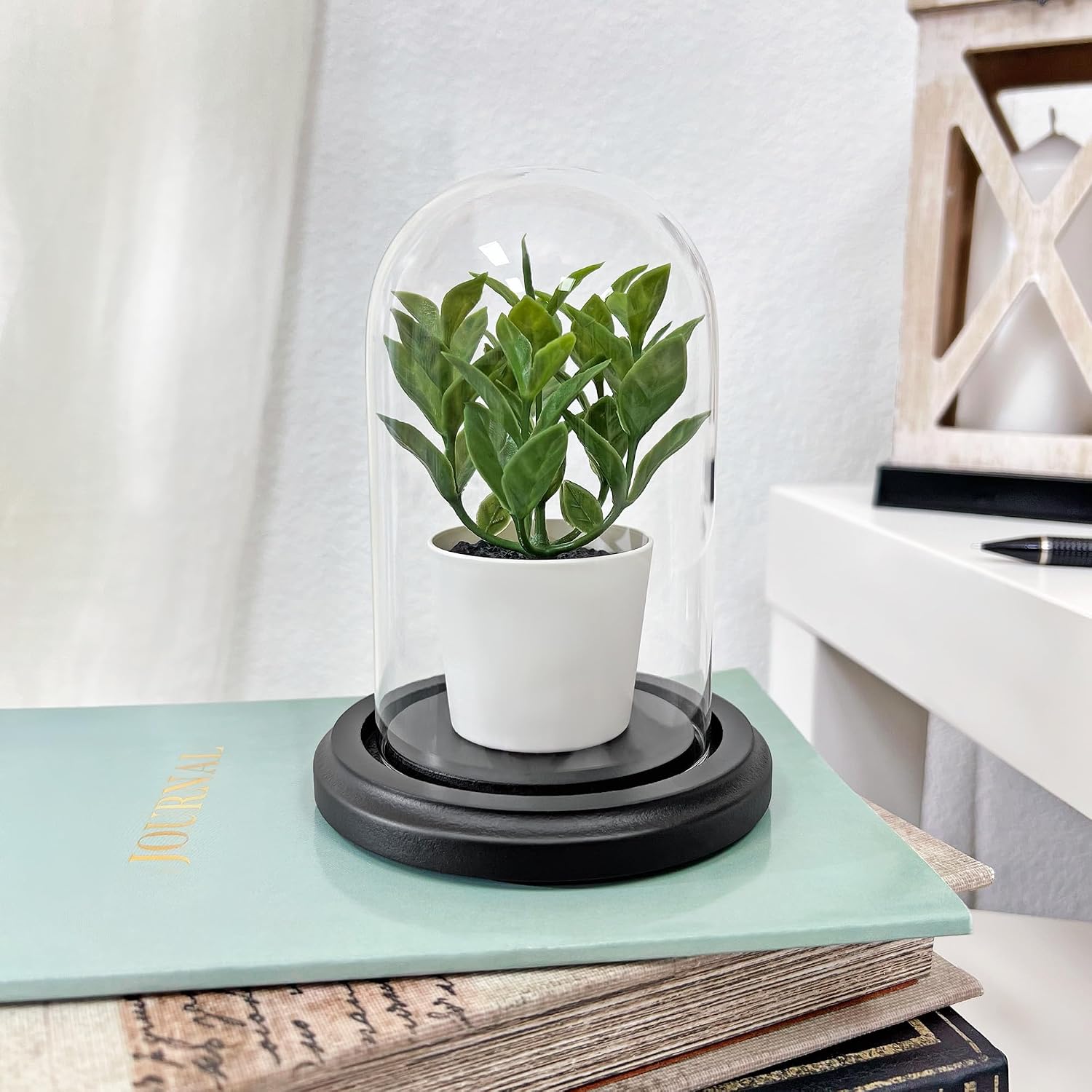 Plymor 3" x 5" Glass Display Dome Cloche (Black MDF Wood Base)