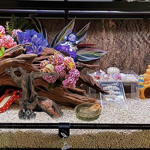 Miniatura 6 de Rainmae Juguete de escalada de cangrejo ermitaño, escondite de madera de cangrejo ermitaño, cuevas de escondite de peces betta, adorno de tronco de