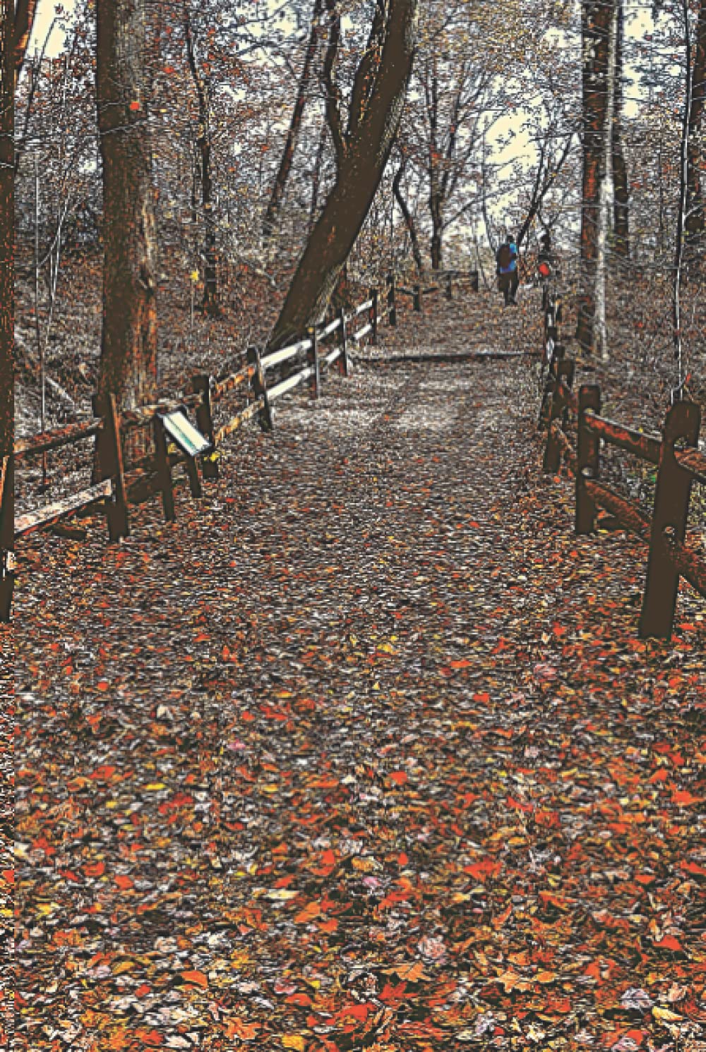 AUTUMN FOREST TRAILS NOTEBOOK: JOURNAL & DIARY