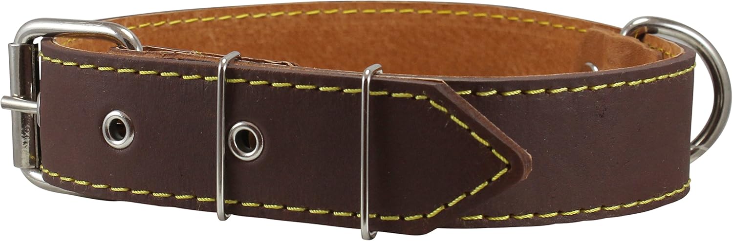 leather dog collars amazon