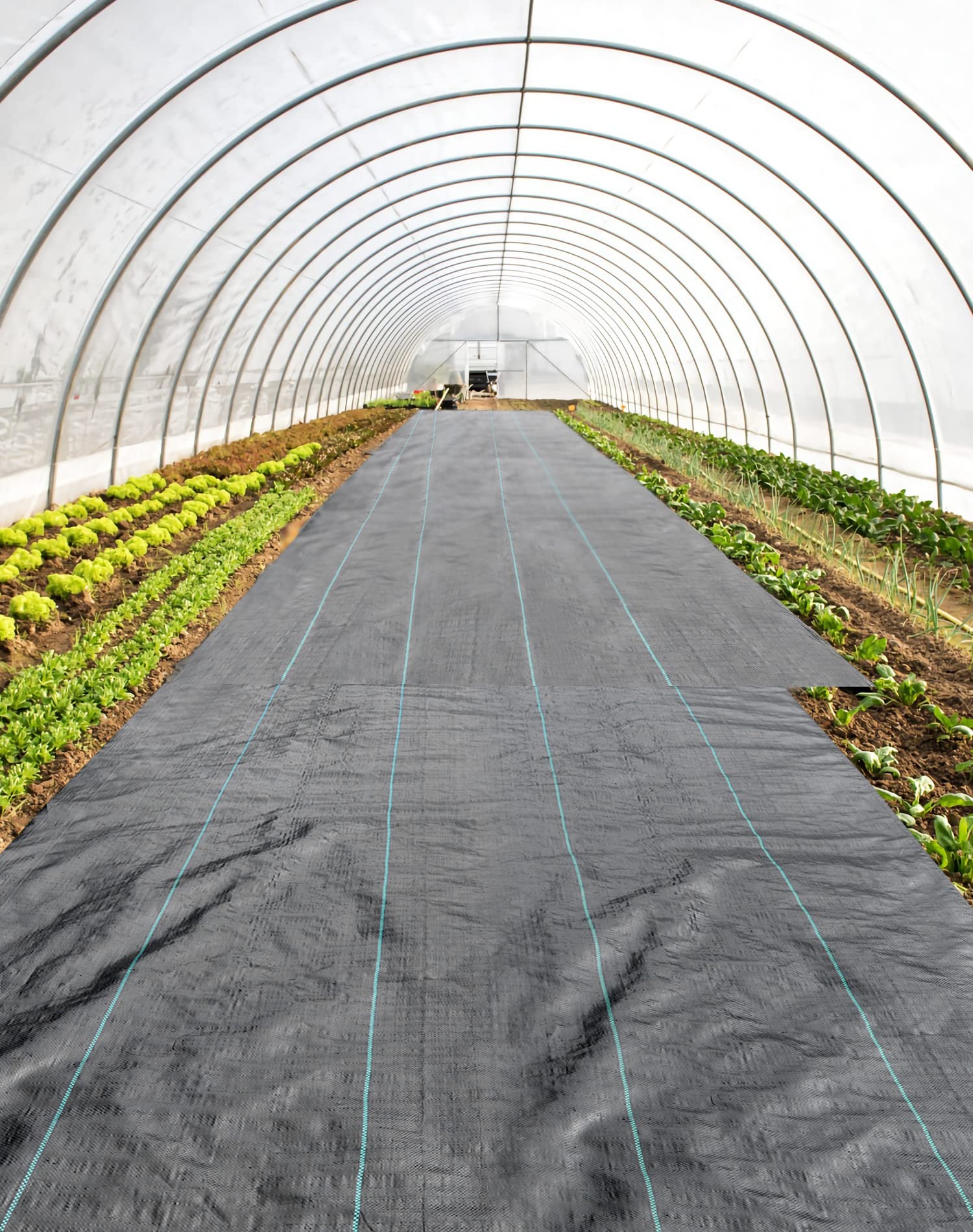 QWORK® 50m x 2m Malla Antihierbas 100g/m² - Permeable, Resistente a la Rotura, Alta estabilización UV - para Jardín, Paisaje, Entrada de Coches