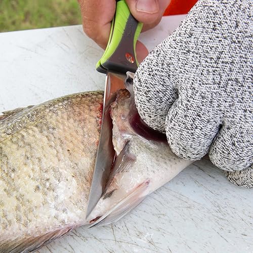 Miniatura 6 de Smith's RegalRiver - Cuchillo de filete flexible plegable de 4 pulgadas - Verde - Hoja de bloqueo de acero inoxidable - Cuchillo de bolsillo -