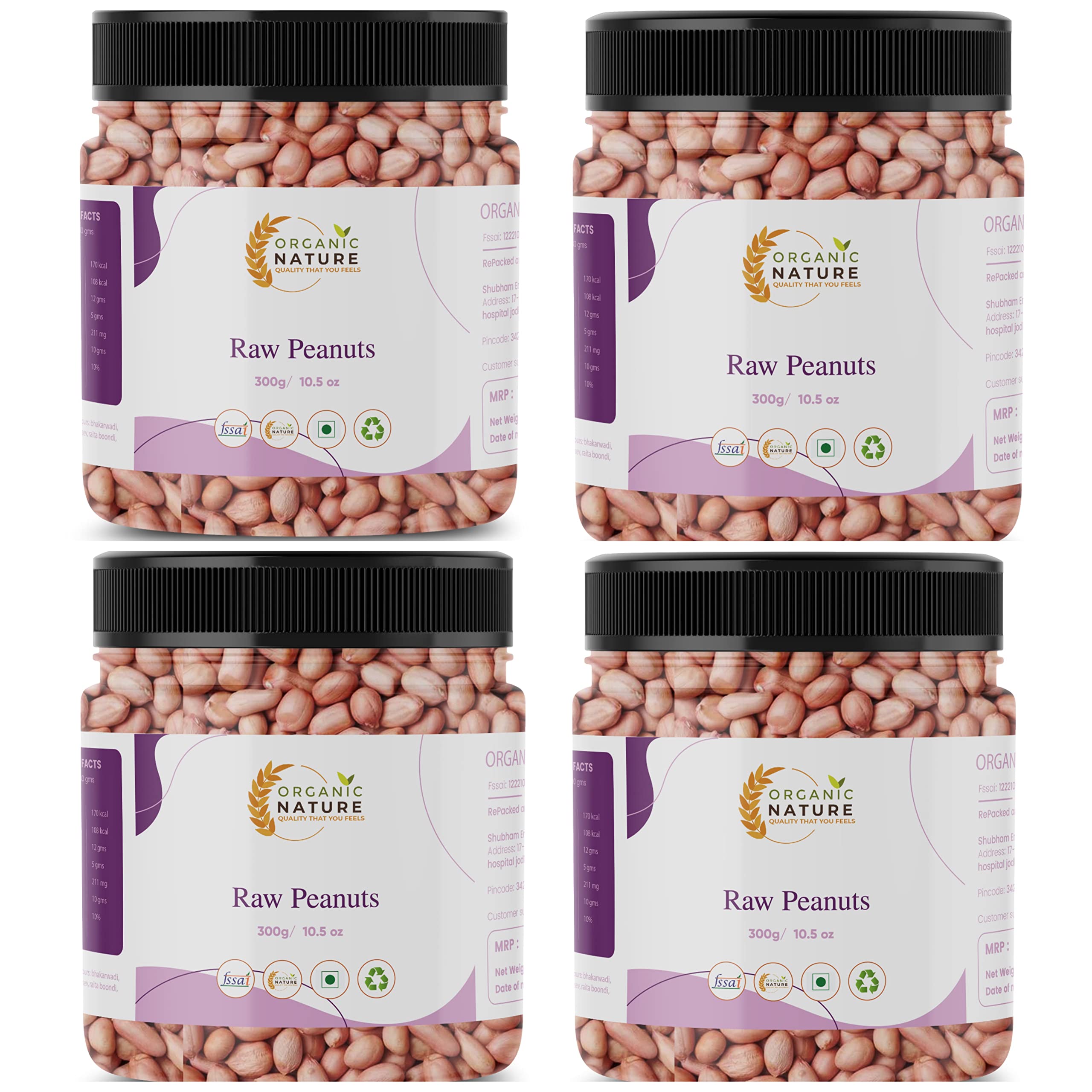 ORGANIC NATURE Raw Peanuts Jumbo Size Raw Peanut Desi Singdana Pack of 4 of 250 Grams Total 1 Kg Whole Groundnut Mungfalli dana Pure Sabut Mungfalli Jar Pack