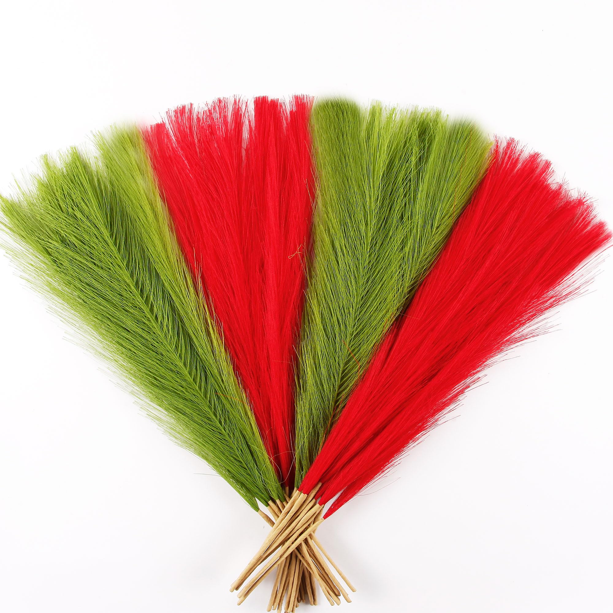 Acfruits Red and Green Pampas Grass Small - dried and preserved flora | Mubboo