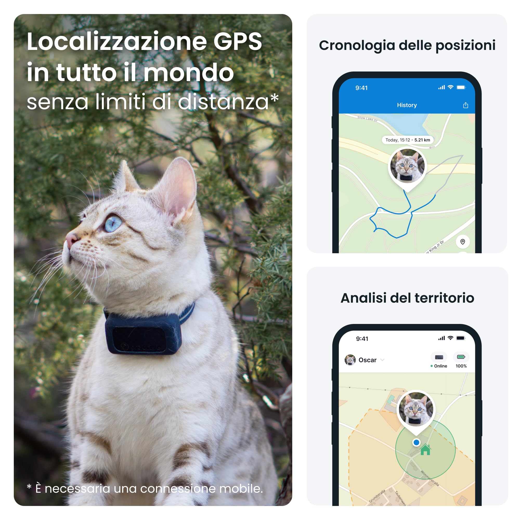 Tractive Bundle GPS gatti intelligente Mini + supporti in gomma | GPS n. 1 per gatti | Monitoraggio della posizione in tempo reale | Cronologia delle posizioni | Collare di sicurezza incluso