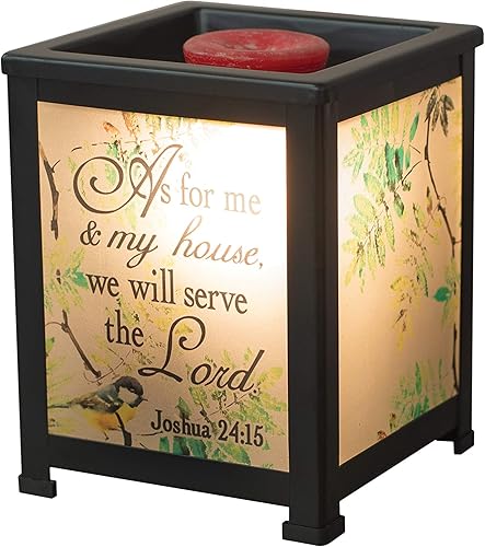 Elanze Designs My House Serve Lord Birds - Cera eléctrica de metal negro y farol de cristal