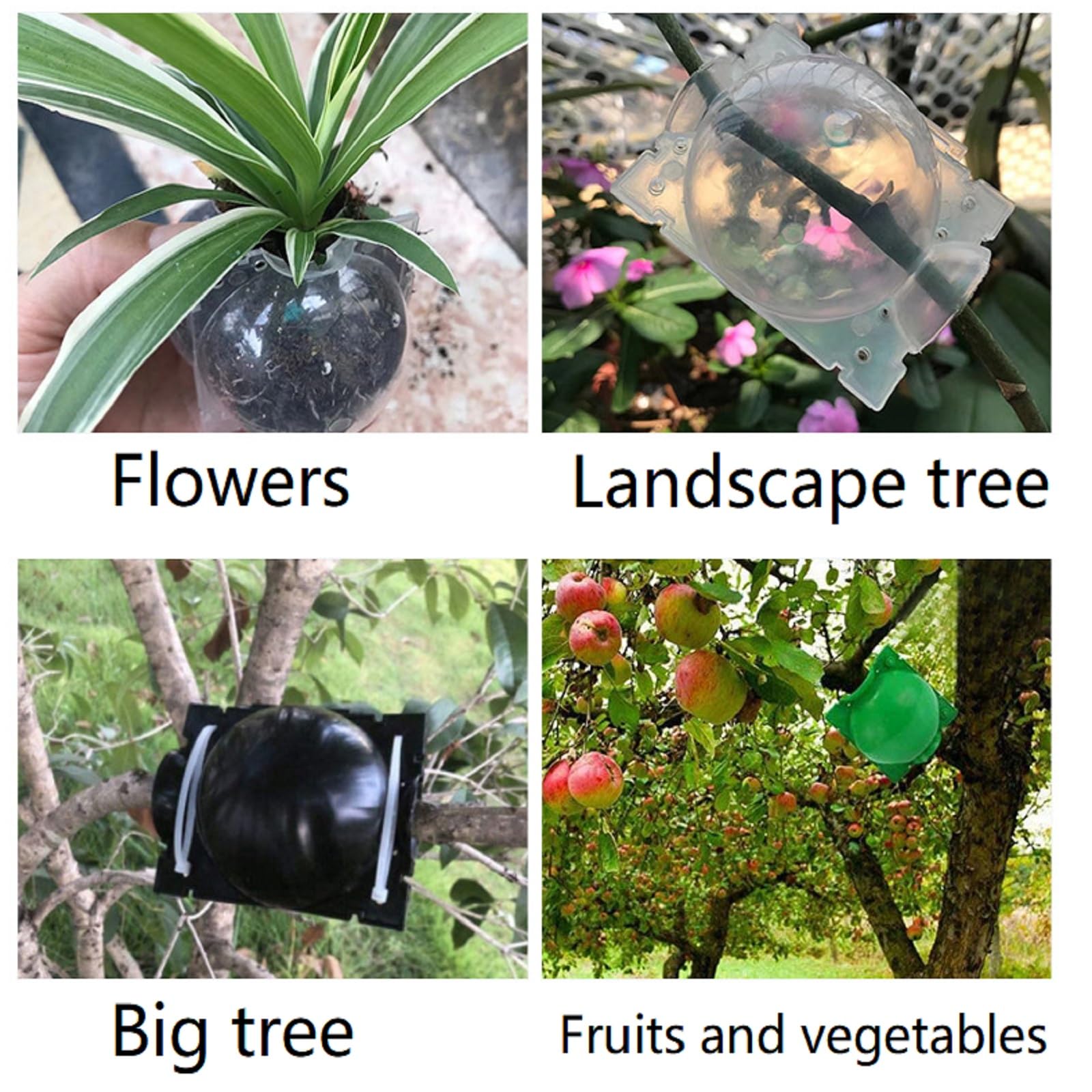 Propagatori Alta Pressione,Scatola Radicamento Piante Riutilizzabile,Dispositivo di Radicazione Delle Piante,Scatola Di Innesto Della Radice Pianta per Innesto e Radicamento da Giardino,10 Pezzi