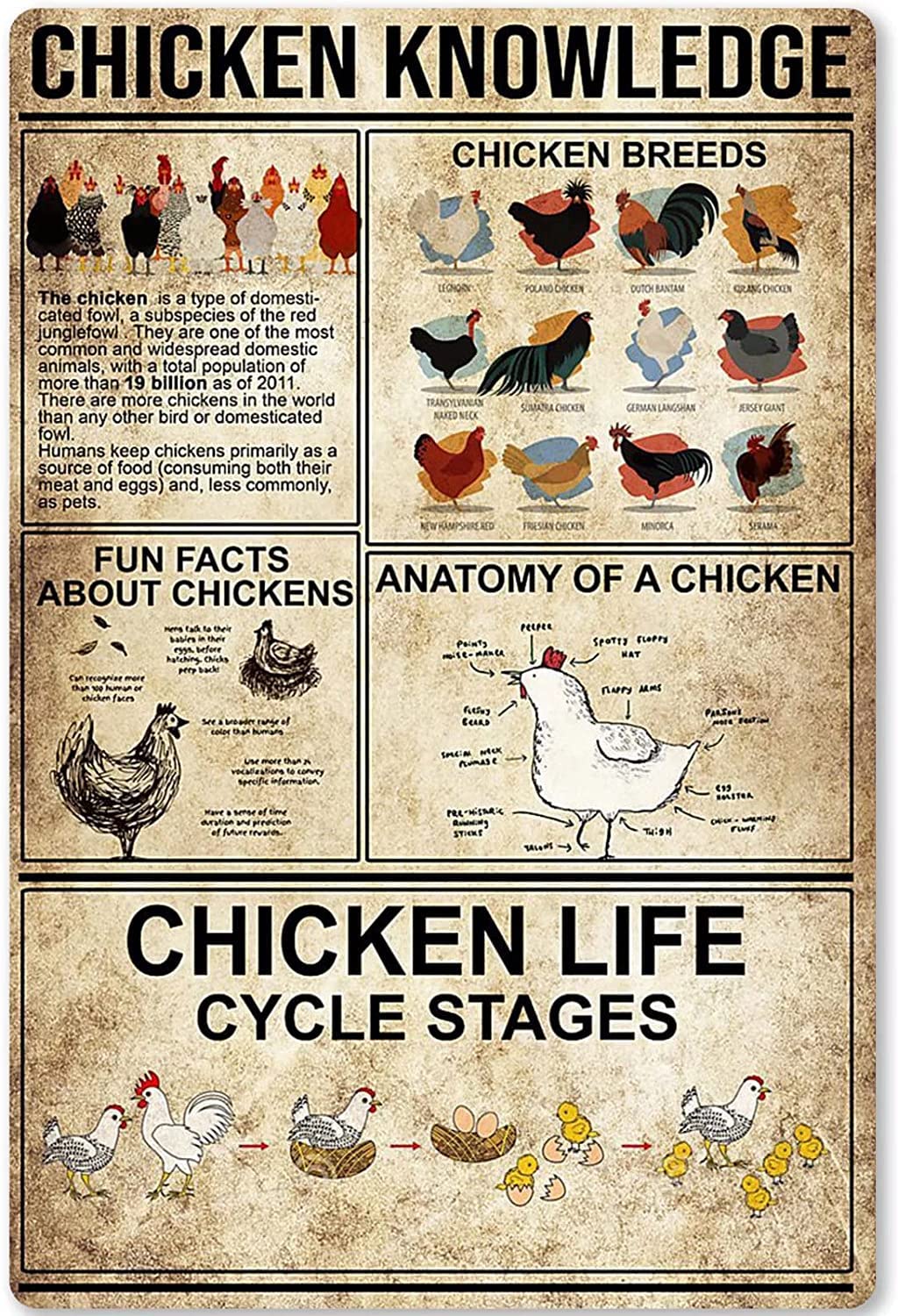 rayprint Chicken Coop Education Tin Signs Chicken Science Guide Metal Signs Chicken Knowledge Plaques Wall Hanging Sign Home Patio Farmhouse Farm Decor 12x16Inches
