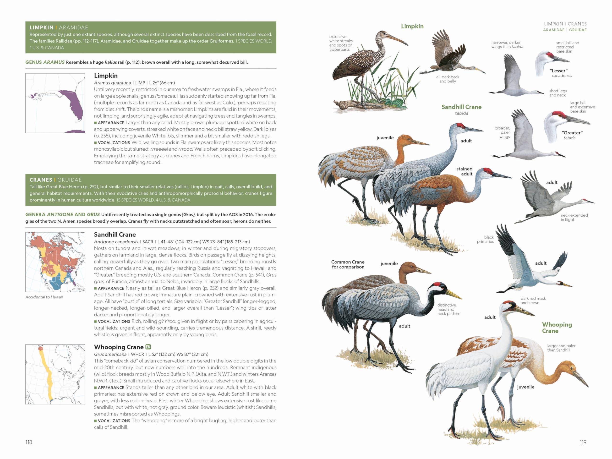 National Geographic Field Guide to the Birds of the United States and Canada, 8th edition