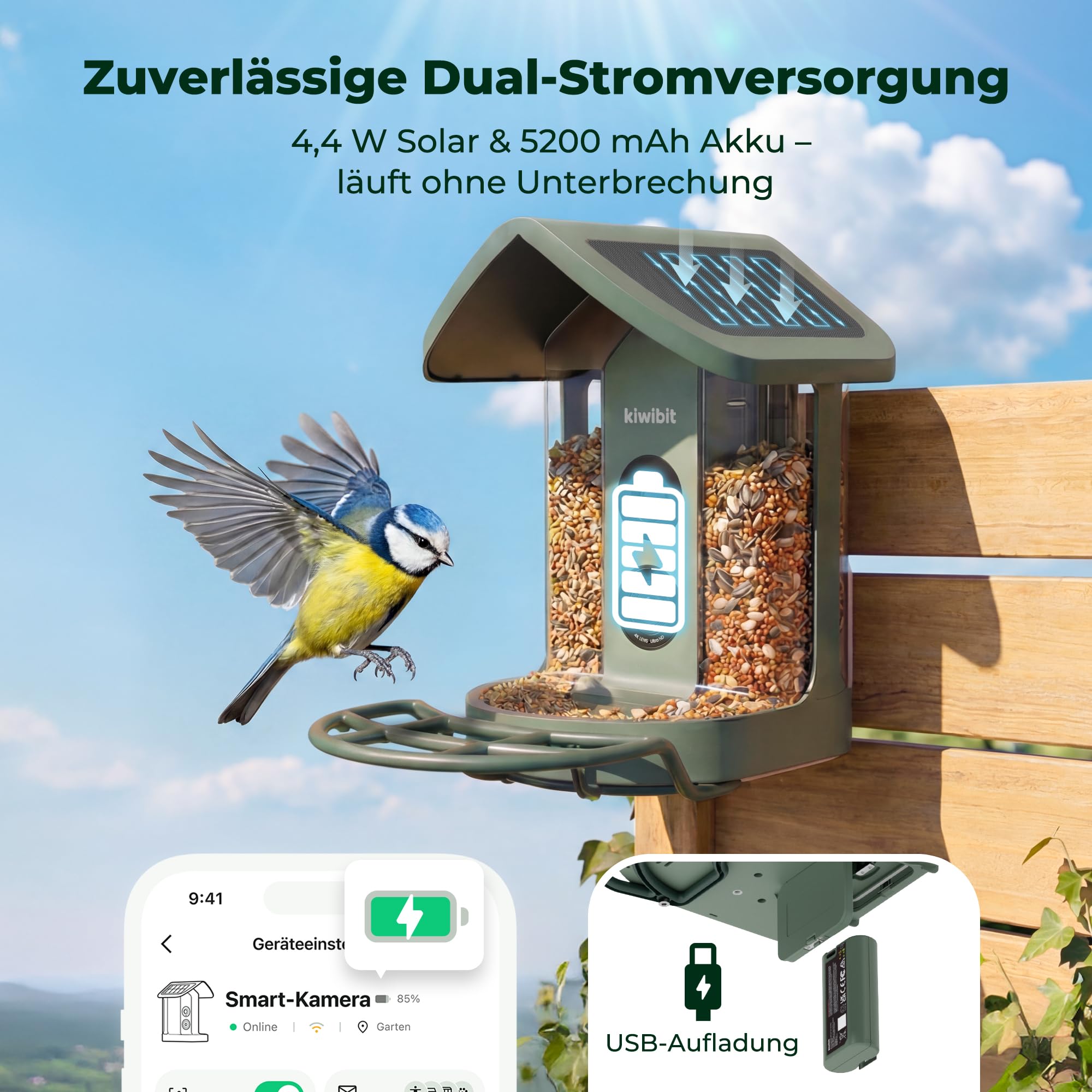 Kiwibit Smart Vogelhaus, 4K Kamera, KI-Erkennung, integriertes Solardach | 8MP Fotos, Live-Ansicht, KI-Vogelerkennung mit Kiwibit , Echtzeit-Alarm und Zwei-Wege-Audio