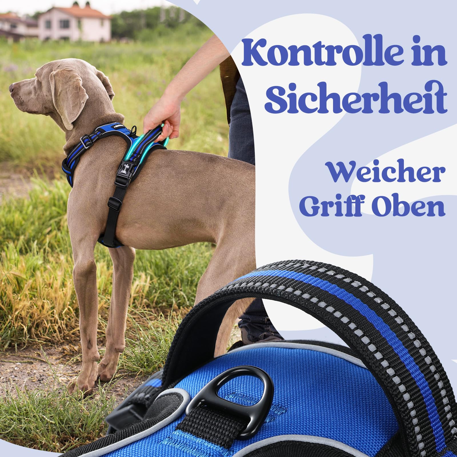 Rabbitgoo Hundegeschirr Für Kleine Hunde – Verstellbar, Weich Gepolstert, Mit Griff & Reflektierend