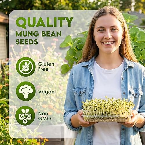 Miniatura 2 de Nature Jims Mung Bean Sprout Seeds – Semillas germinantes de 16 onzas – Semillas de frijol Mung Premium – Sin OMG – Bolsa resellable para una