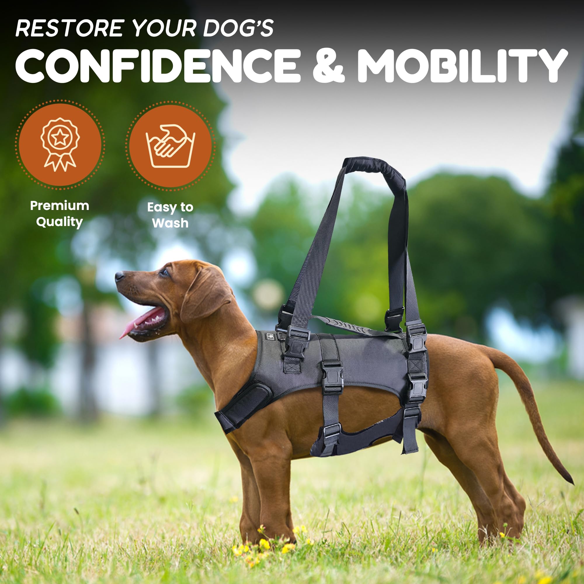 Amazon | Doggie Stylz 大型犬用犬用リフトハーネス 全身サポート