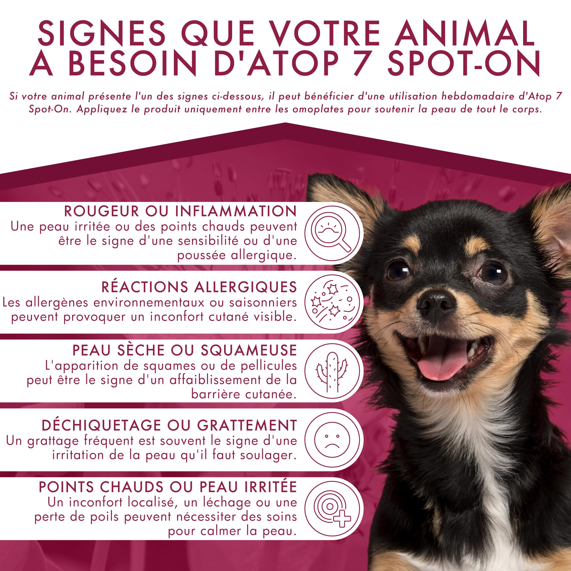 ATOP 7 Spot-on pour Chiens & Chats 0–10 kg | Soin Apaisant sans Rinçage | 4 Pipettes x 0,6 ML | Dermoscent
