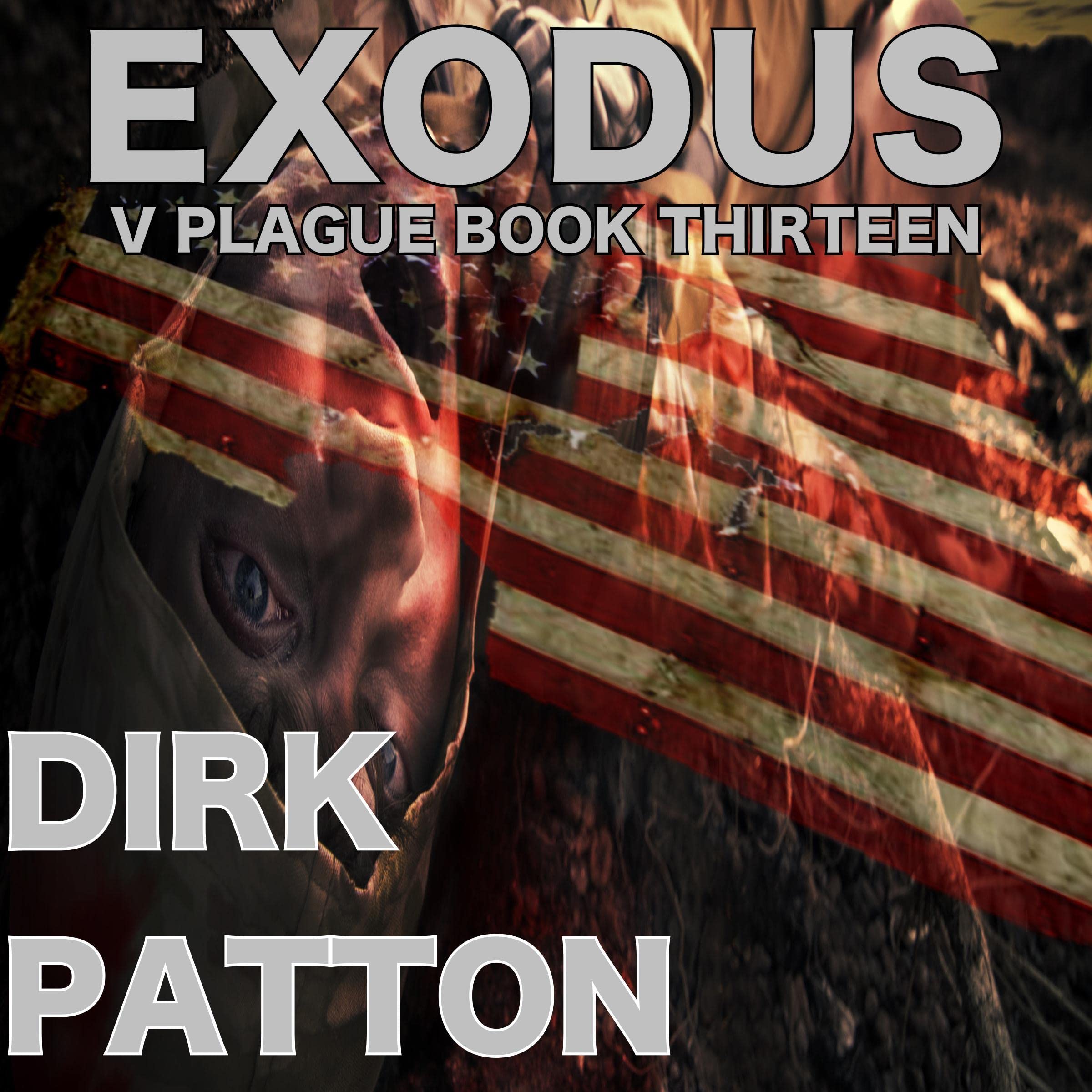 Cover art for Exodus: V Plague, Book 13