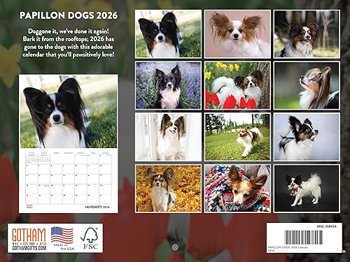 Vista 50 de Calendario Goldendoodle 2026 Golden Doodle mensual de pared calendario de 12 meses Fabricado en Estados Unidos