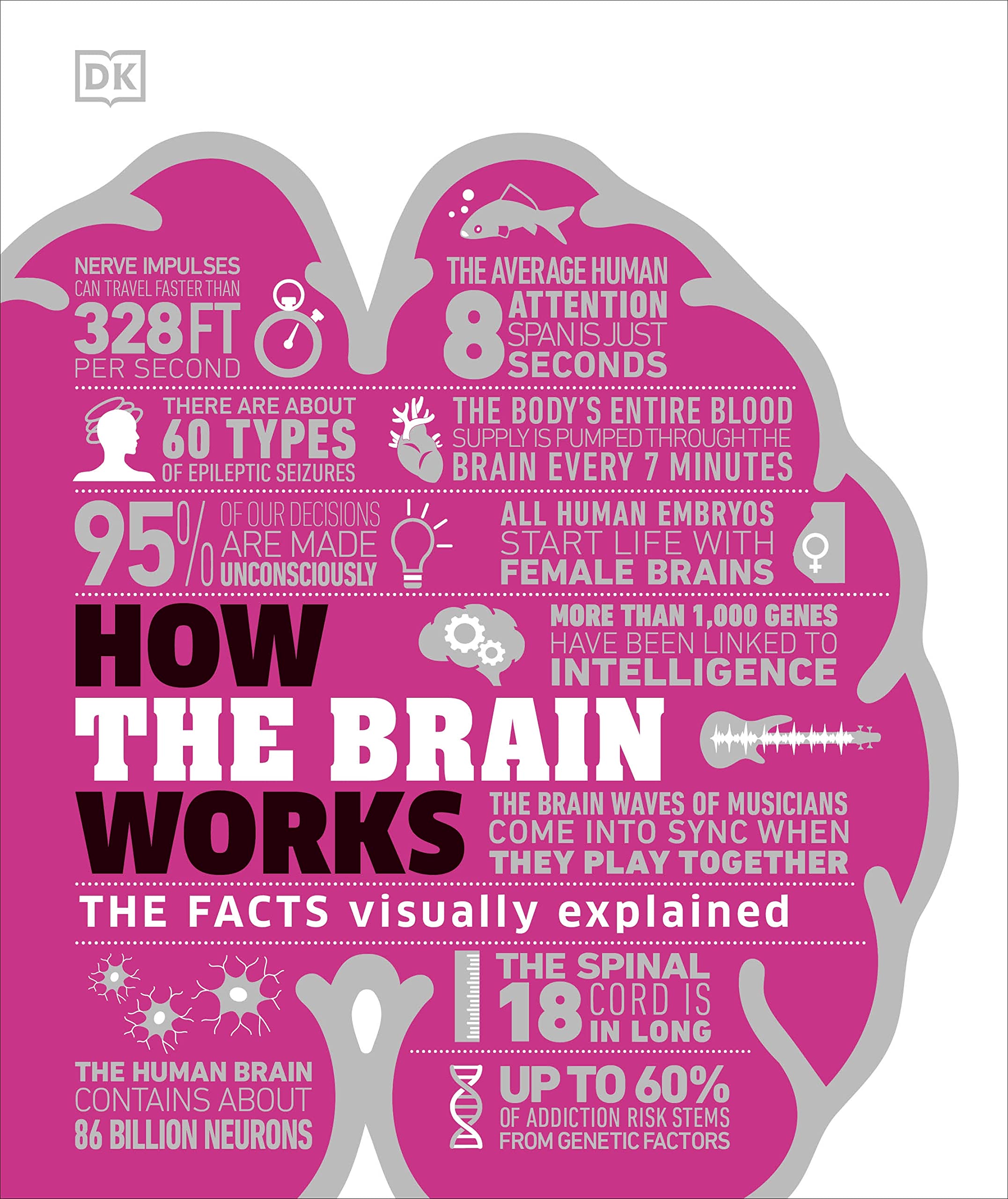 How the Brain Works: The Facts Visually Explained (DK How Stuff Work)