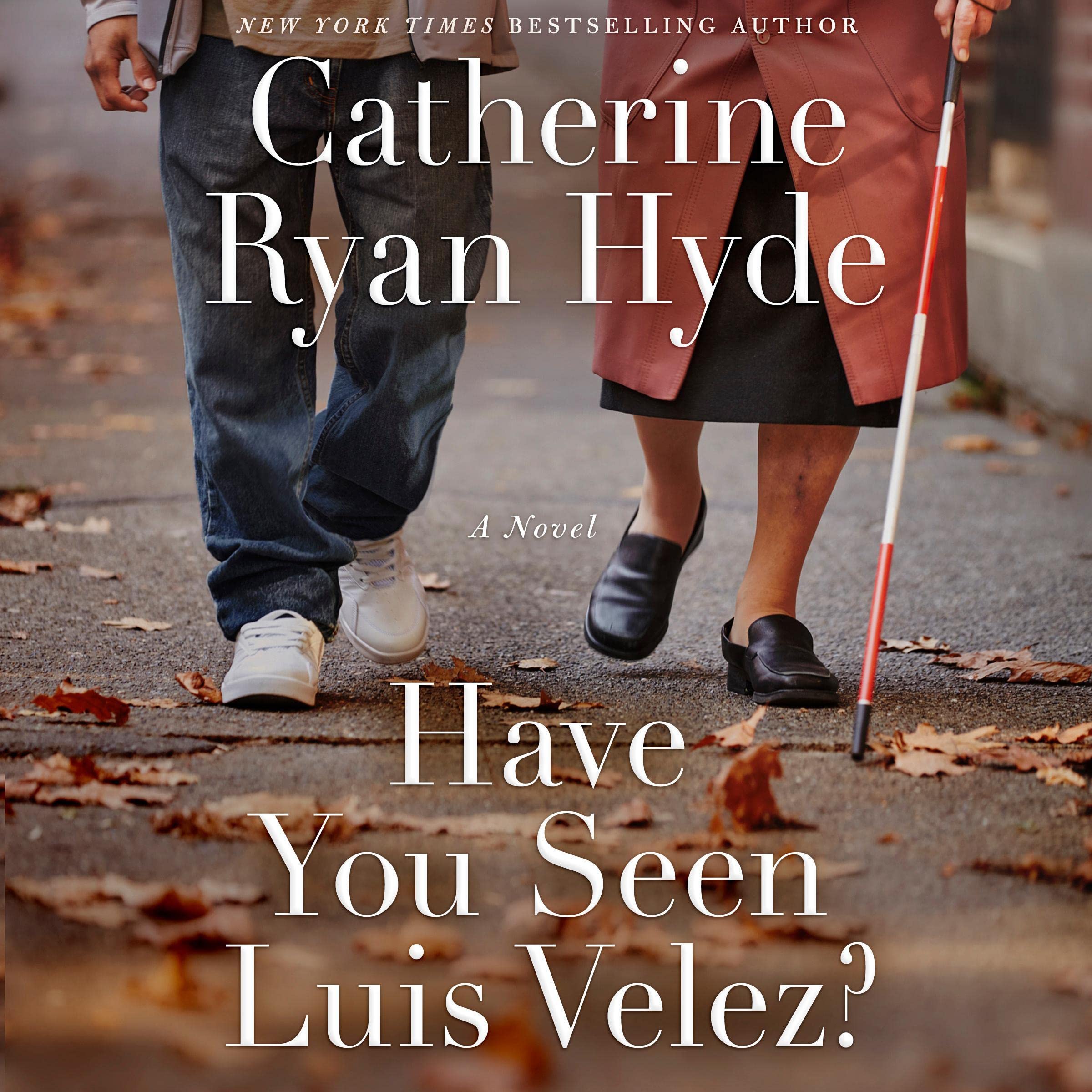 Cover art for Have You Seen Luis Velez?
