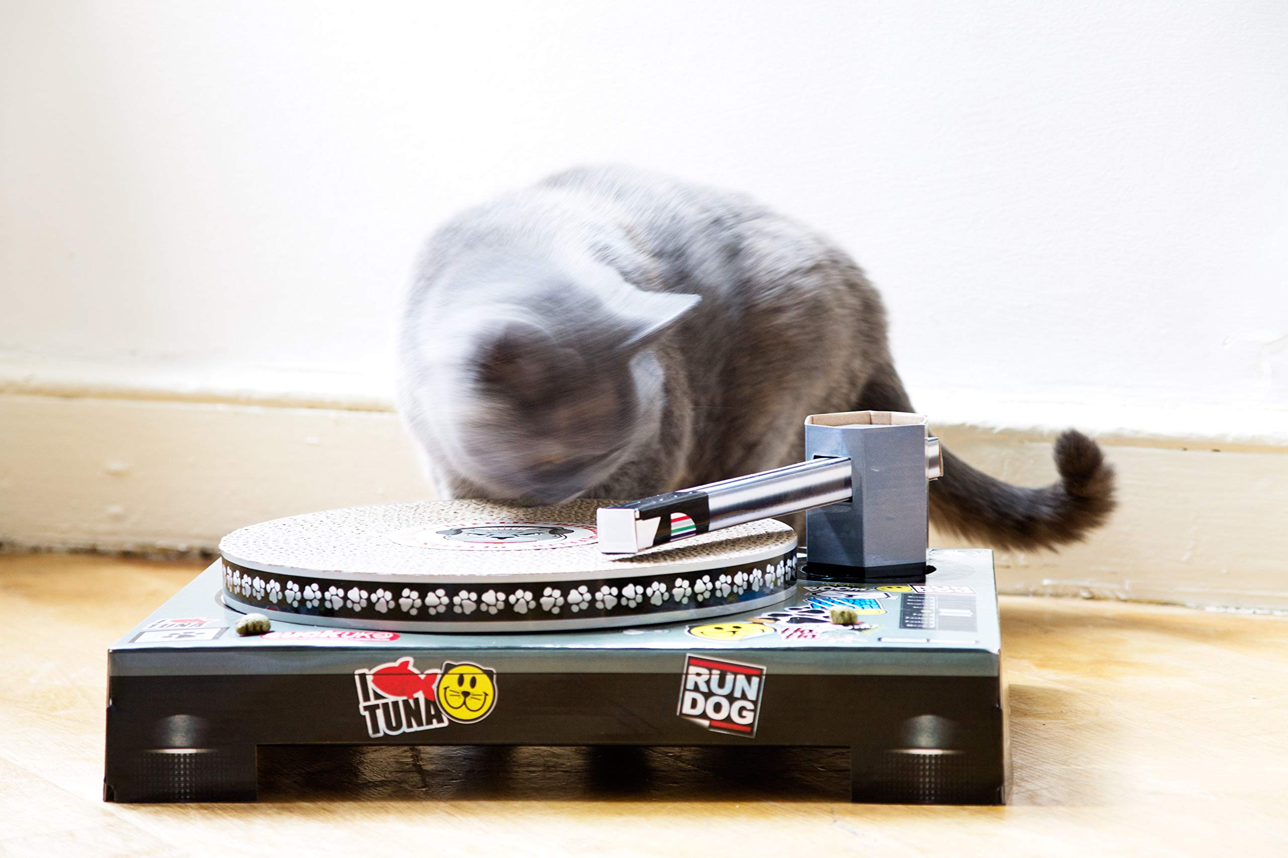 Amazon | SUCK UK Cat DJ Scratching Deck サックユーケー キャットDJ