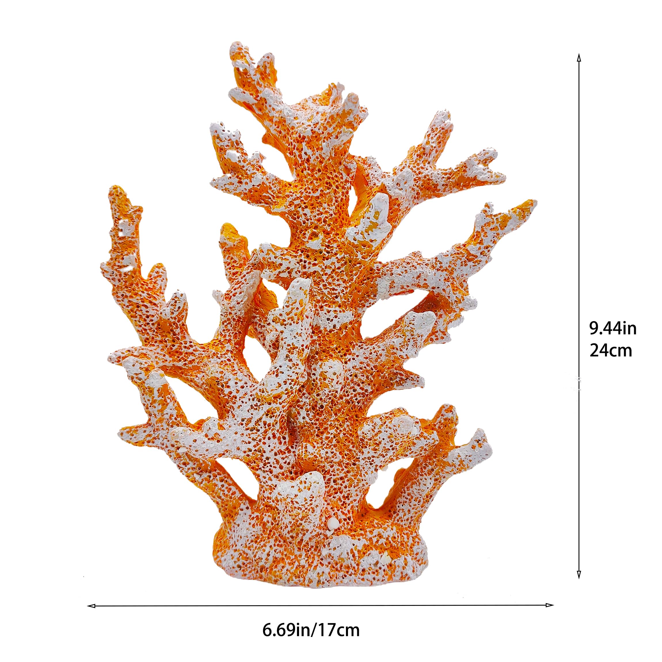 Amazon.com: Etlemonde Beach Coastal Decor Coral Reef Home Decor
