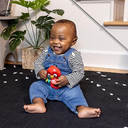 Miniatura 29 de Baby Einstein Take Along Tunes Musical Juguete, paquete de de 1 Rojo