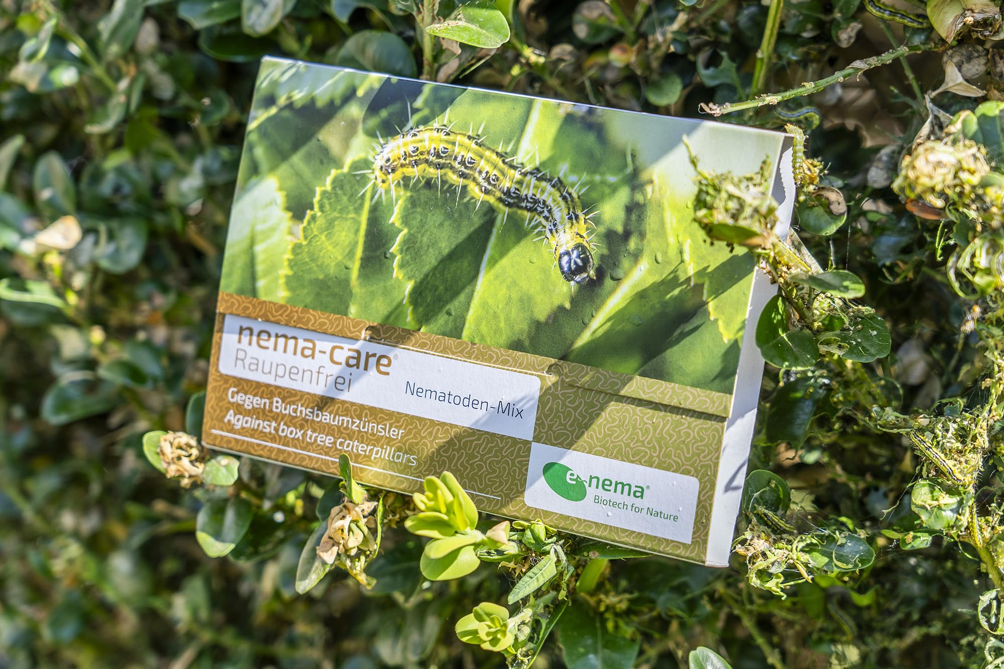 nema-care® Raupenfrei | Nematoden gegen Buchsbaumzünsler | 2 x 10 Mio Nematoden | e-nema