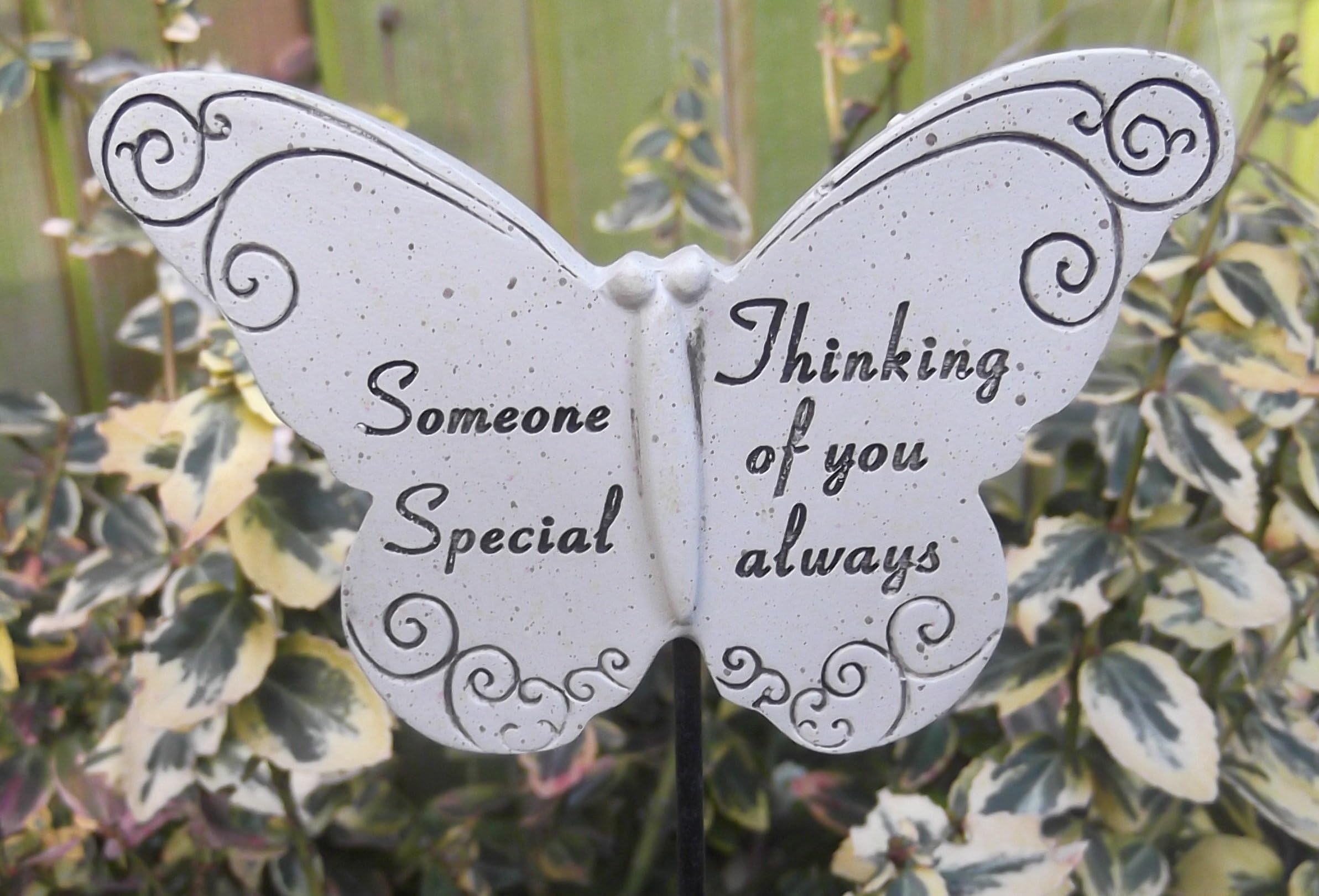 Memorial Butterfly Special Someone Graveside Ornament