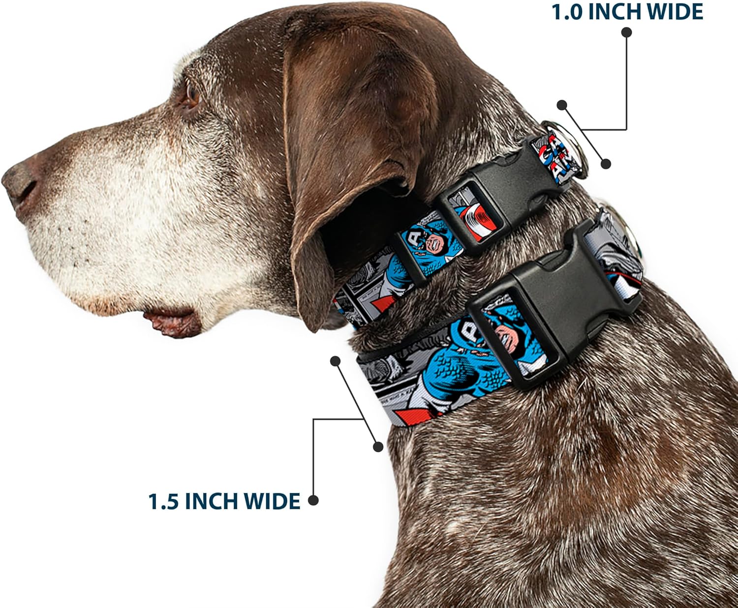 Dog Collar Plastic Clip Captain America 2 Poses Comic Blocks Grays Red White Blue 13 to 18 Inches 1.5 Inch Wide