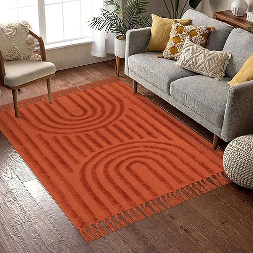 LEEVAN - Alfombras lavables para sala de estar de 4 x 6 pies, alfombra tejida de terracota para cocina con borlas, alfombra moderna acolchada de