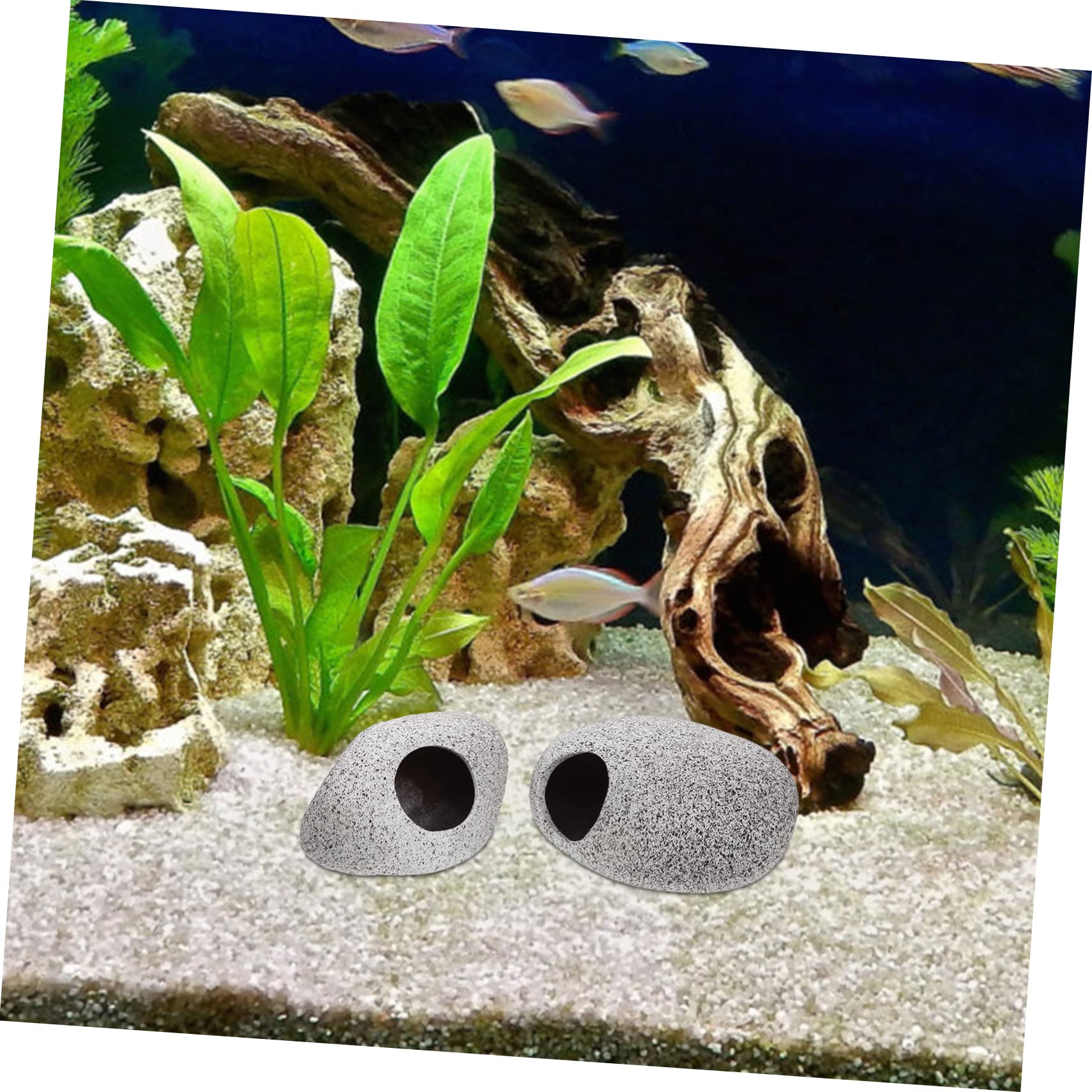 Sosoport Cachette Aquarium 2 Ensembles Pot en Argile pour Aquarium Ornements Cachettes des Grottes des Aquariums Grotte De Crevettes Délicate Bois Flotté D'aquarium Argile Violette 2 Pièces * 2