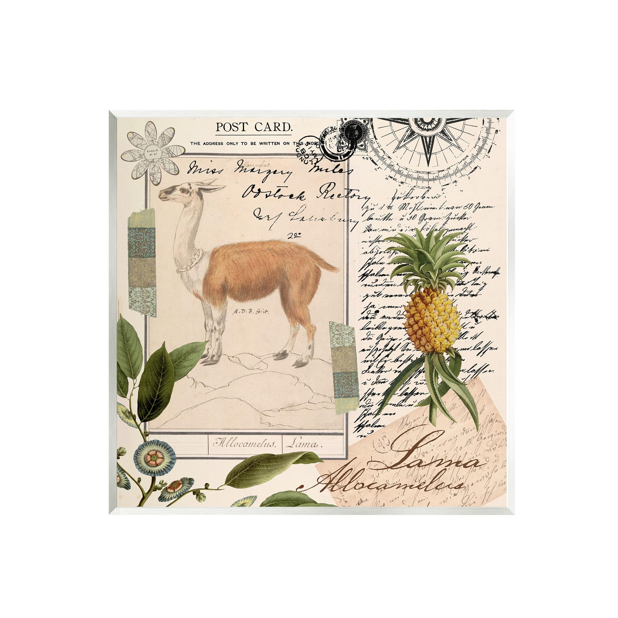 Stupell Industries Vintage Antelope Postcard Wall Plaque Art by Andrea Haase