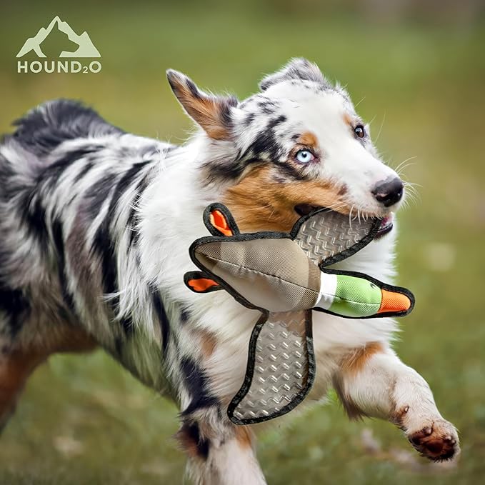 Juguete para Perro Hound2o Pato y Trucha 2 Pack miniatura 3