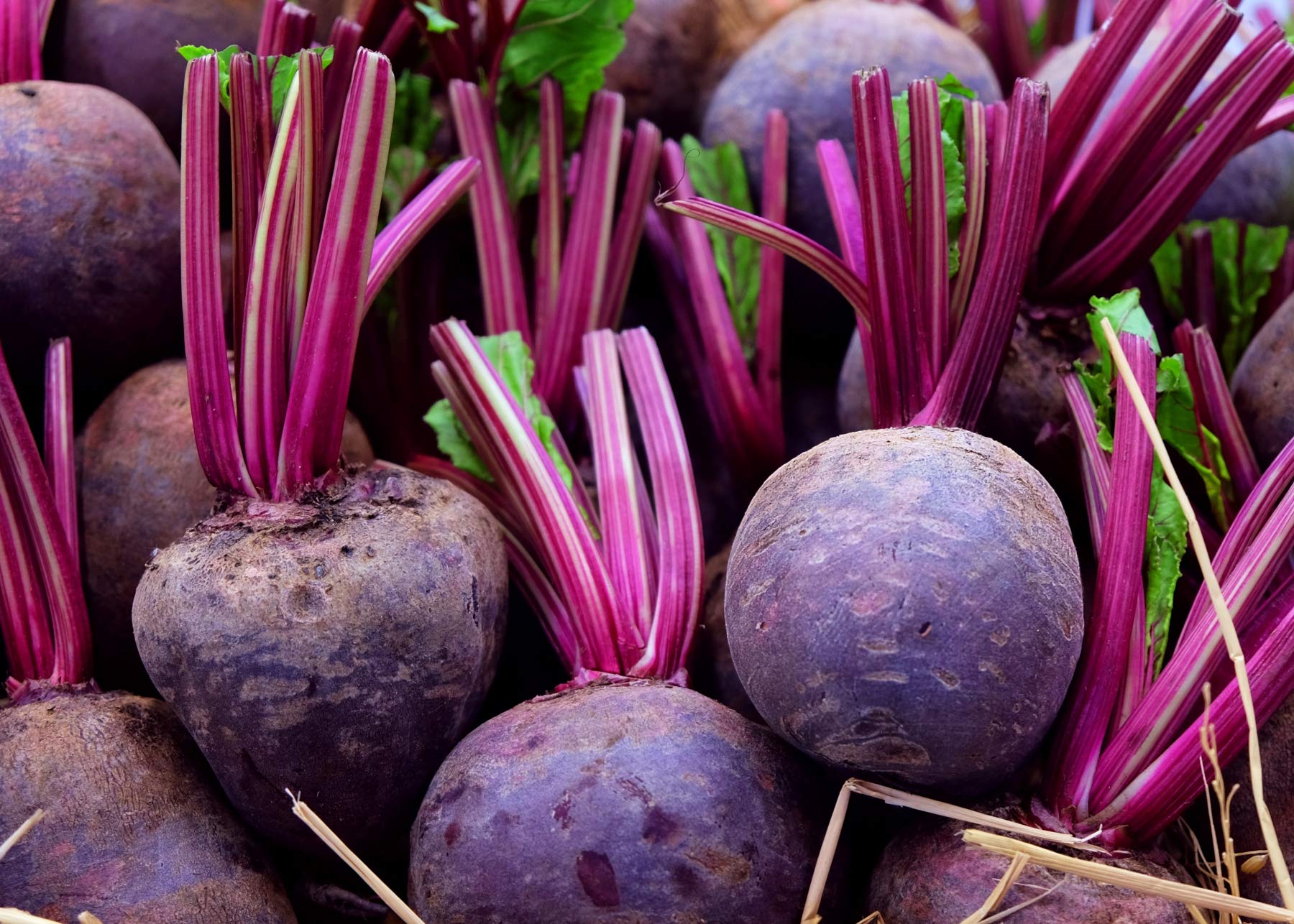 Golden Hills Farm Beetroot chukandar Hybrid Seeds 200+ seeds (B096G5LKFD) Amazon Price History, Amazon Price Tracker