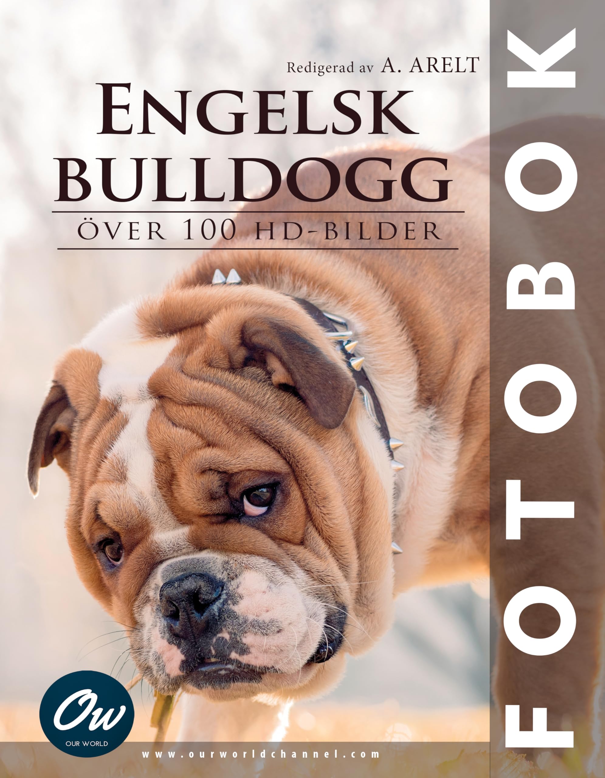 Livre photo Bouledogue Anglais pour décorer votre salon avec élégance