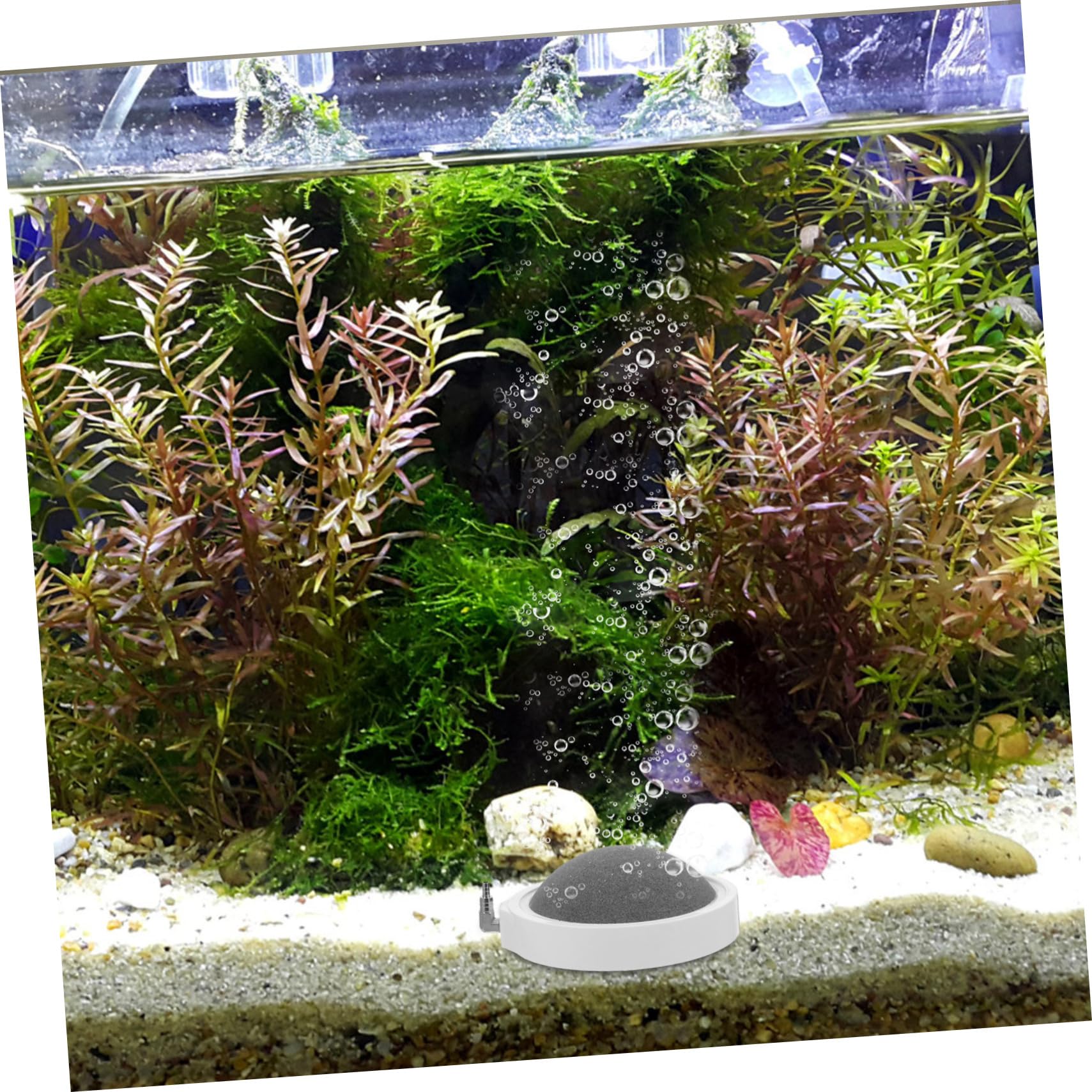 HANABASS 2stücke Austauschbare Luftsteine Für Aquarien Hochtemperatur Gebrannte Blasensteine Zur Sauerstoffanreicherung Für Süß Und Salzwasseraquarien Für Hydroponik Und Fischbecken