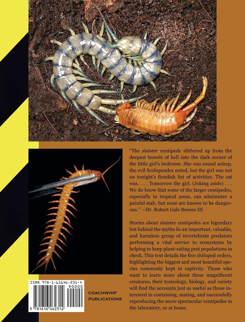 Centipedes in Captivity: The Reproductive Biology and Husbandry of Chilopoda