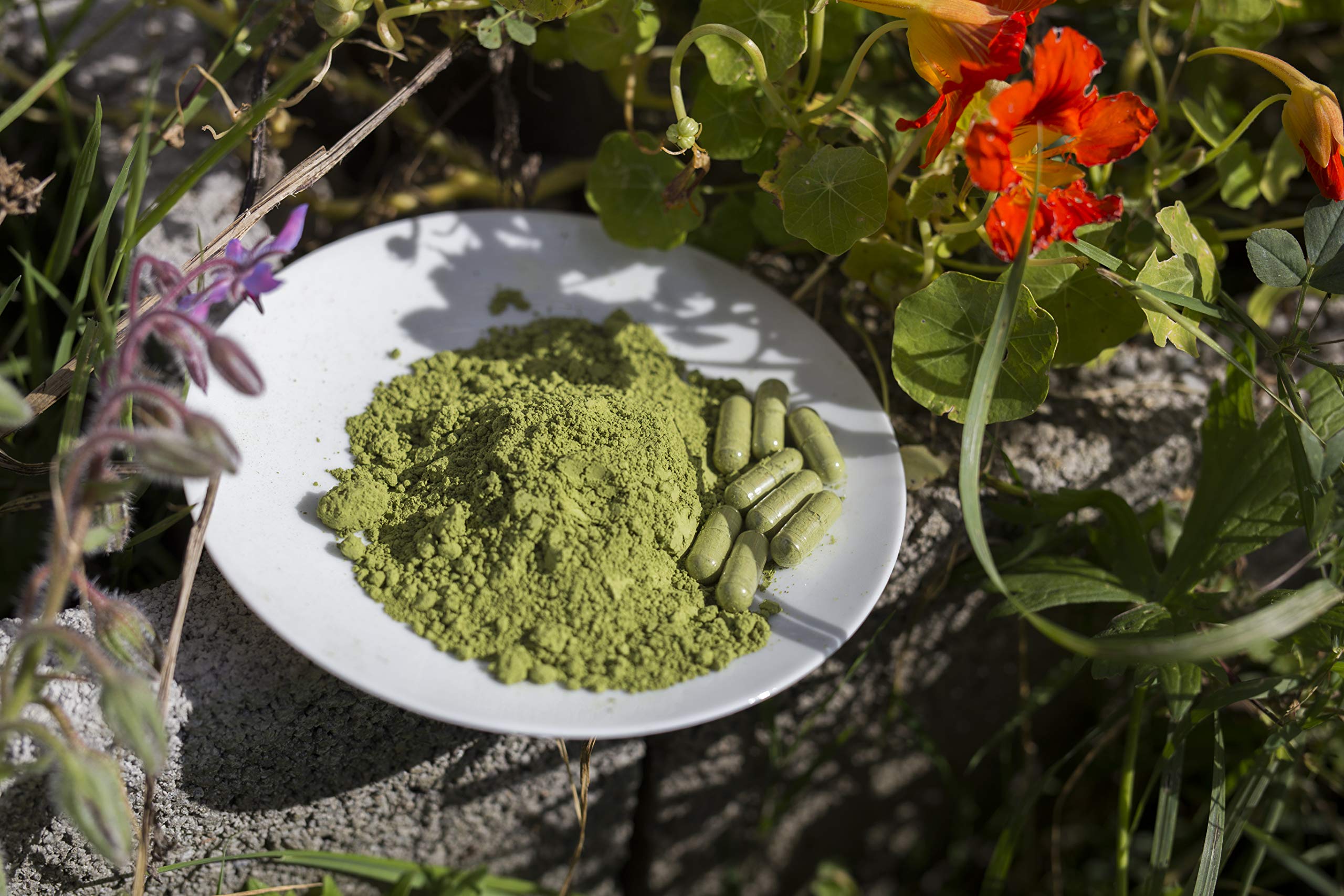 Sanuvit L-Ornithin 60 Kapseln - Reinstoffprodukt direkt vom Hersteller (hypoallergene Manufaktur)