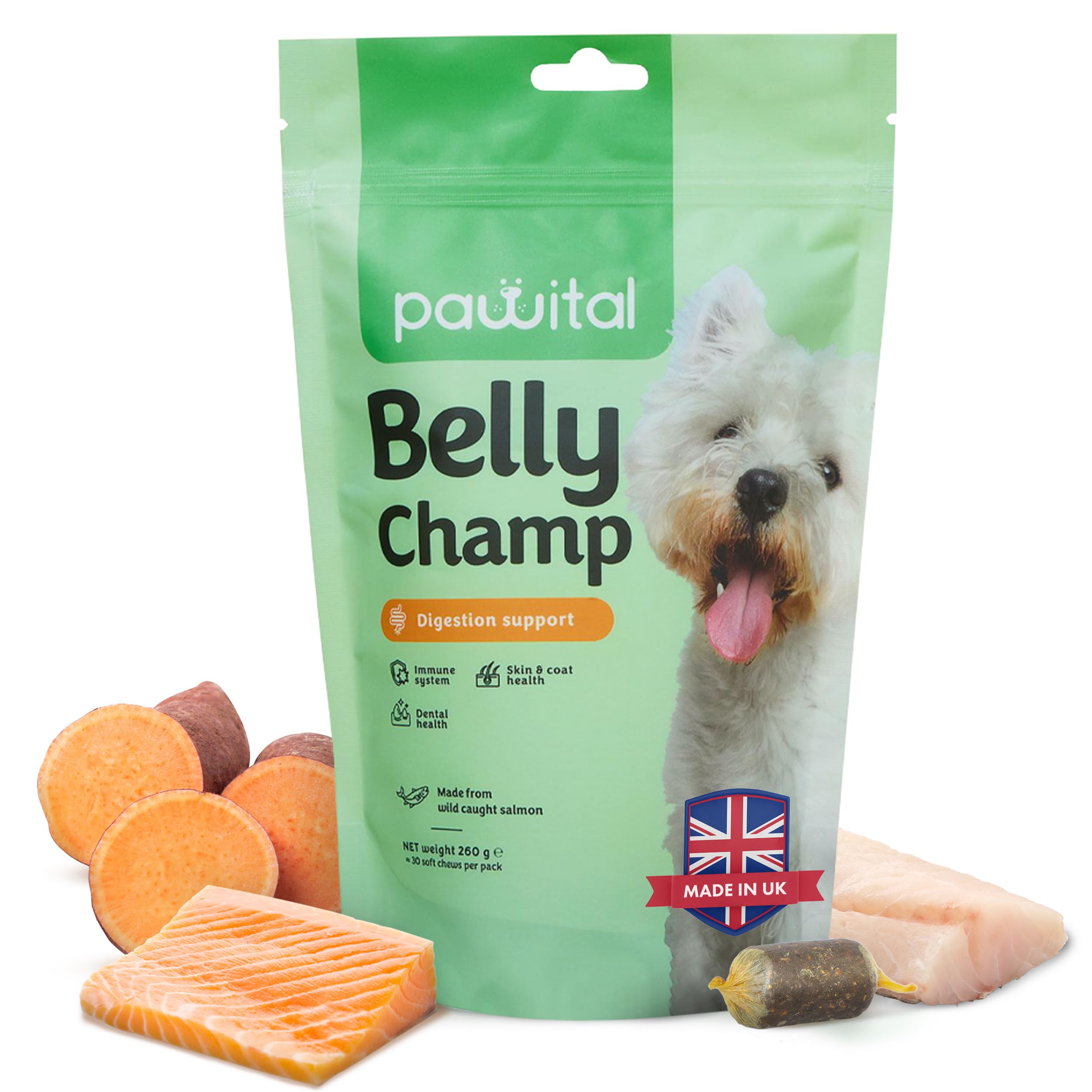 Belly Champ - Natürliche Hundeleckerlis mit Postbiotika & Wildlachs für Hunde bei Verdauung, Juckreiz, Kratzen, Pfotenlecken und Grasfressen, 60 Kausnacks