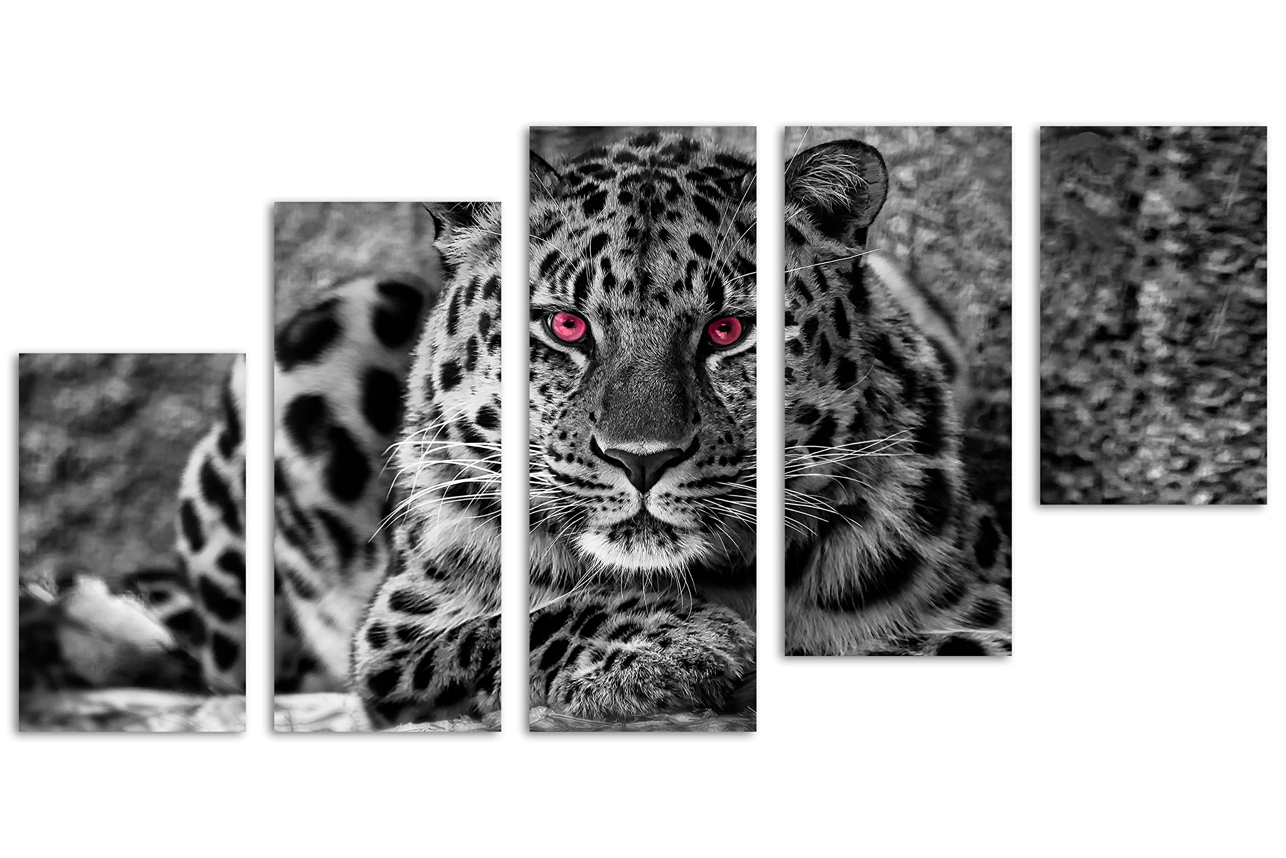 40 x 22 TOTAL - Amur Leopard Canvas Print Wall Art B&W Fuchsia eyes 5 Panel Z Cut Split Big Cat, wildlife animal