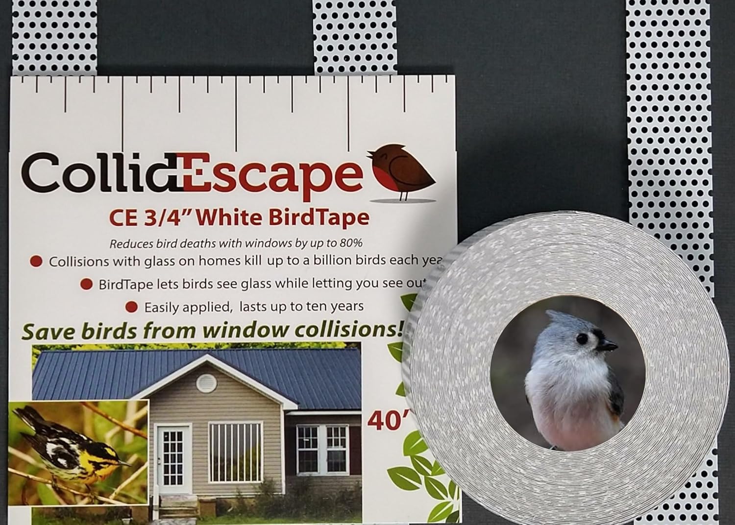 CollidEscape Window Decals to Prevent Bird Strikes Bird