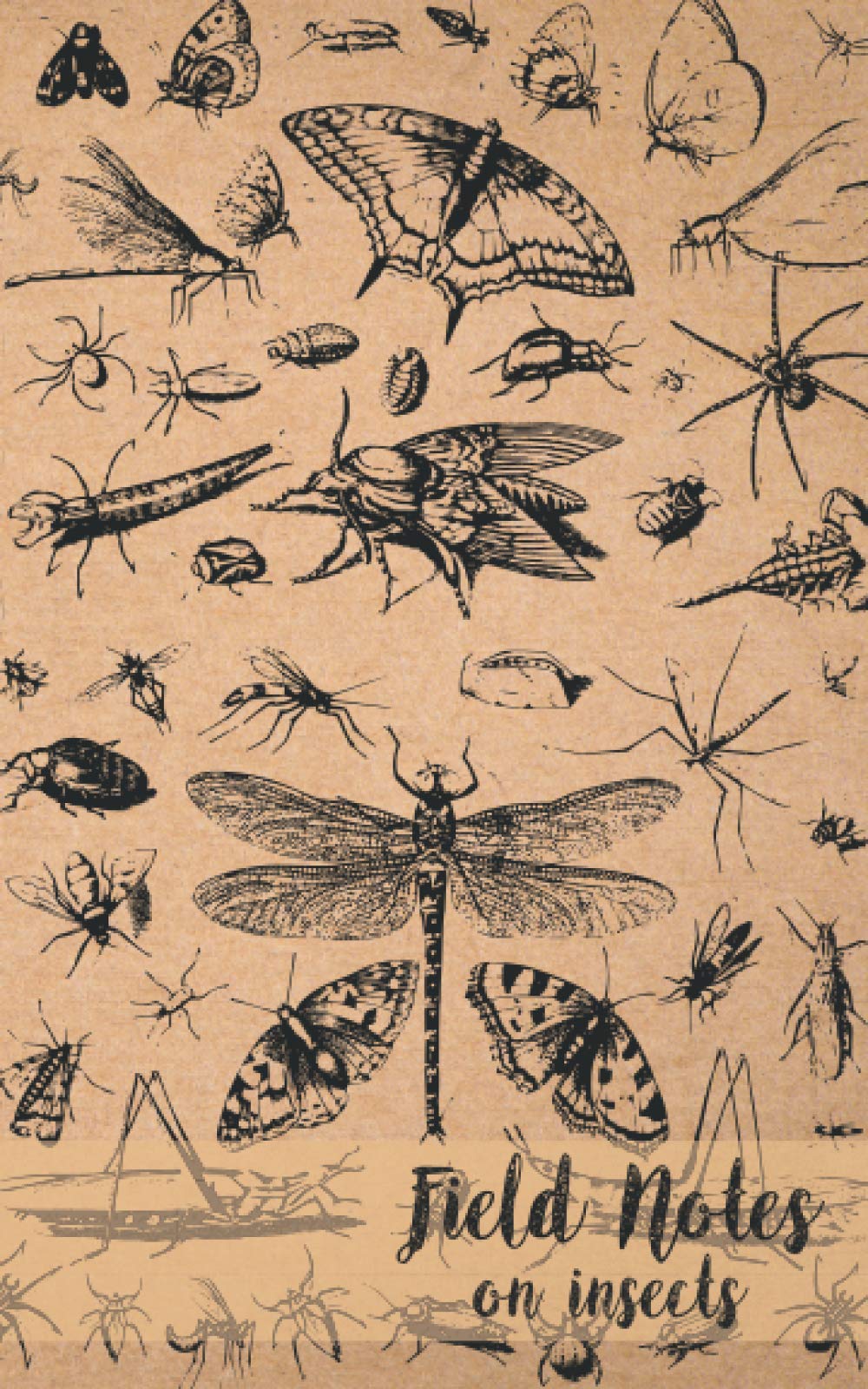 Field Notes on Insects: a 5x8 journal formatted for creative use while investigating insects in the field