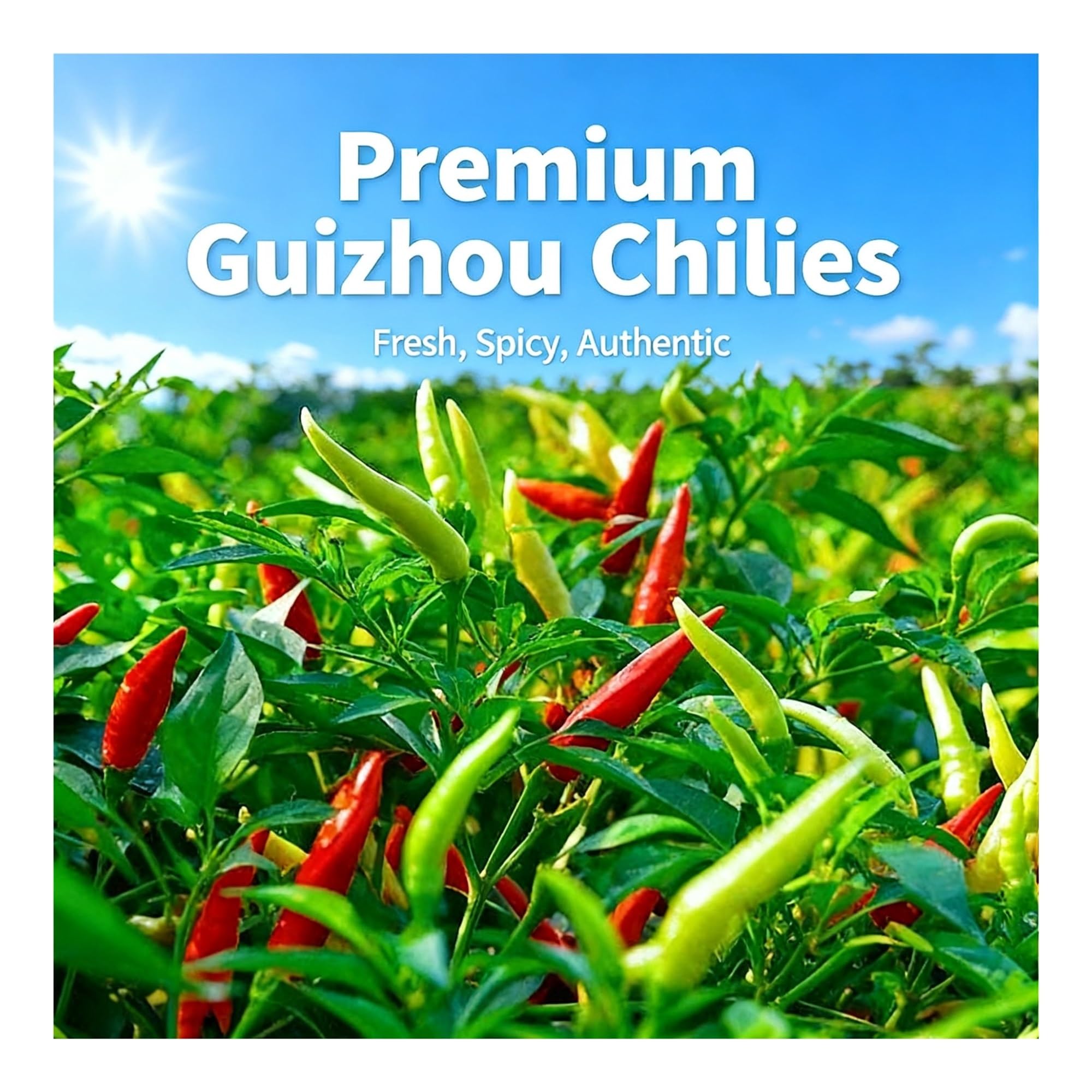 Cacahuetes con chile crujiente, bolsa de gran capacidad, listo for comer, perfecto como guarnición, merienda