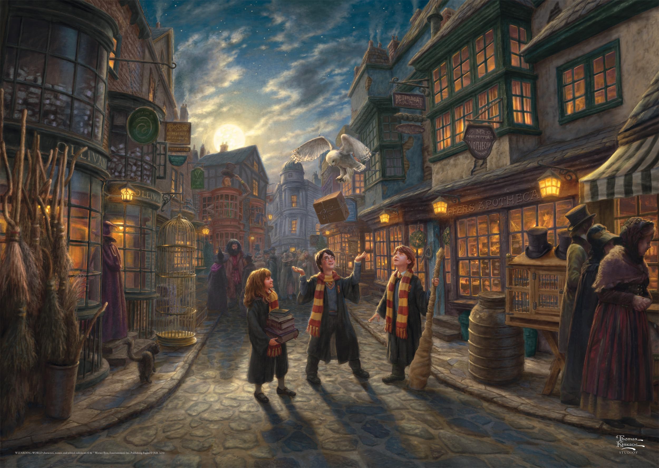 Schmidt Spiele 58548 Wizarding World, Harry Potter, Diagon Alley, Thomas Kinkade, Puzzle da 1000 Pezzi, Multicolore