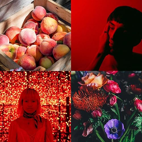 Miniatura 5 de Perfumer's Choice Milton-Lloyd Phoenix - Perfume para hombres y mujeres - Perfume floral de ámbar amaderado - Fragancia de larga duración para