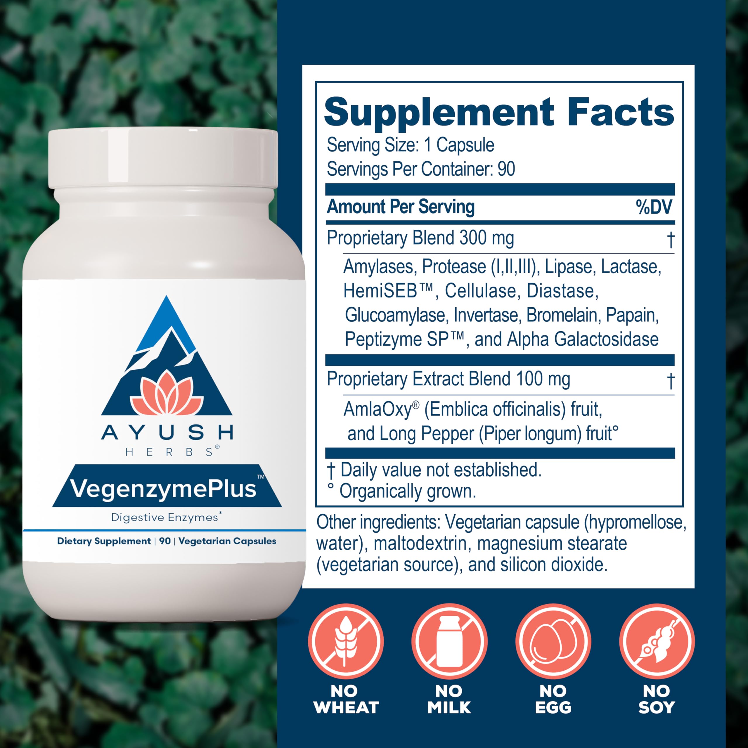 Amazon.com: Ayush Herbs VegenzymePlus - Digestive Enzymes for