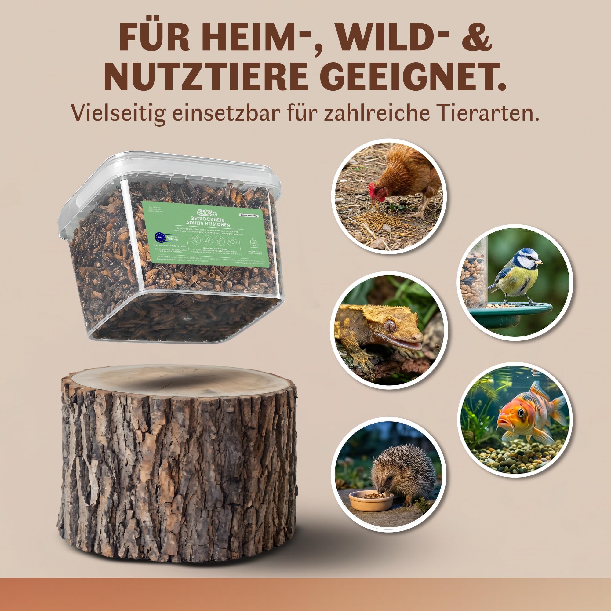 Getrocknete Heimchen - Insekten Vogelfutter für Hühner, Vögel, Reptilien & Fische | Proteinreiche Grillen | Alternative zu Mehlwürmer getrocknet | ohne Zusatzstoffe - 500g